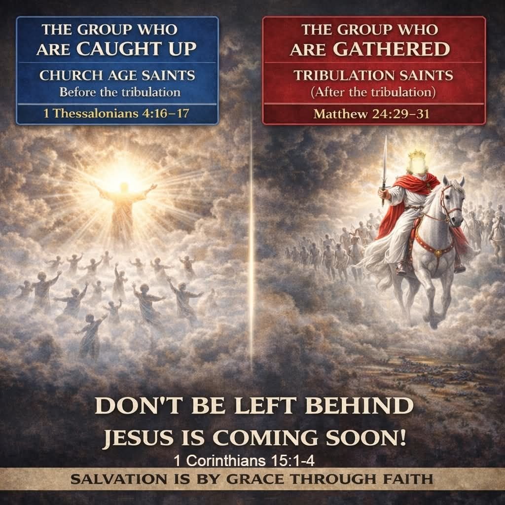 602340082_849890181161759_2514773806712627180_n (1)